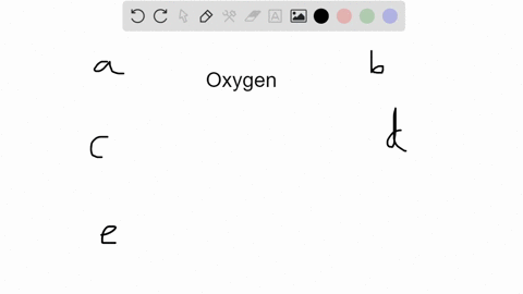 to-which-of-the-following-domains-do-unicellular-organisms-which-lack-nuclei-belong-a-eukarya-b-arch