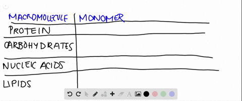 list-the-names-of-the-monomers-that-make-up-proteins-complex-carbohydrates-and-nucleic-acids