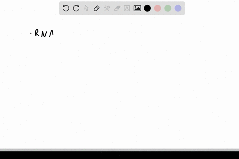 list-three-examples-of-proteins-that-act-on-nucleic-acids-during-transcription-2