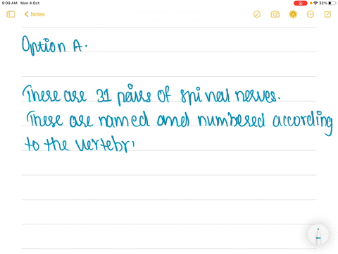 in-a-human-being-the-number-of-spinal-nerves-is-a-31-pairs-b-52-pairs-c-12-pairs-d-36-pairs