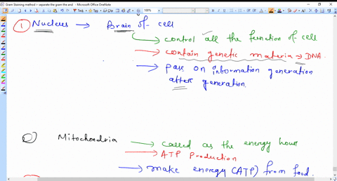 what-are-the-names-and-functions-of-the-major-organelles-of-the-endomembrane-system-in-eukaryotic-ce