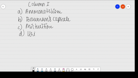 match-the-items-of-column-i-with-those-of-column-ii-beginarrayrr-hline-column-i-column-ii-hlinea-amm