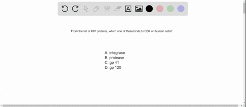 which-of-these-hiv-proteins-binds-to-cd4-on-human-cells-a-integrase-b-protease-c-gp-41-d-gp-120