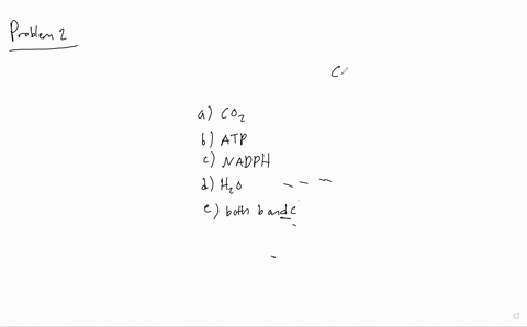 in-photolysis-some-of-the-energy-captured-by-chlorophyll-is-used-to-split-a-c-o_2-b-atp-c-nadph-d-ma