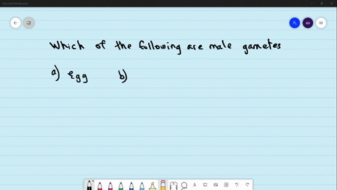 which-of-the-following-isare-male-gametes-a-egg-b-ovum-c-antherozoids-d-zygote