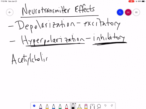 which-of-the-following-neurotransmitters-is-associated-with-inhibition-exclusively-a-gaba-b-acetylch