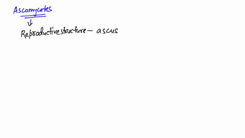which-statement-is-not-true-of-the-ascomycetes-a-their-sexual-spores-are-produced-in-asci-b-their-as