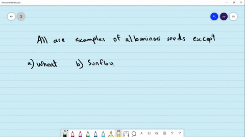 all-are-examples-of-albuminous-seeds-except-a-wheat-b-sunflower-c-castor-d-groundnut
