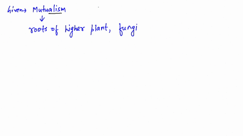 mutualistic-relationships-between-fungi-and-the-roots-of-plants-are-called-a-lichens-b-mycorrhizae-c