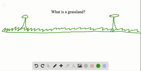 in-grasslands-forest-fires-are-a-common-occurrence-which-of-the-following-statements-regarding-grass
