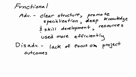 what-are-the-relative-advantages-and-disadvantages-of-the-functional-matrix-and-dedicated-team-appro
