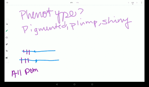 in-figure-15-3-a-what-would-the-kernel-phenotype-be-if-the-strain-were-homozygous-for-all-dominant-m