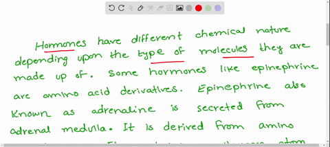 chemically-epinephrine-is-a-amino-acid-derivative-b-peptide-hormone-c-steroid-hormone-d-iodothyronin