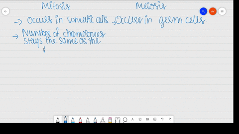list-the-main-differences-between-mitosis-and-meiosis