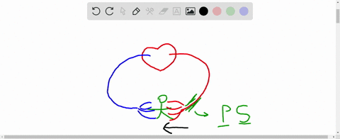 which-of-the-following-statements-is-not-true-a-only-arteries-carry-oxygenated-blood-b-both-arteries