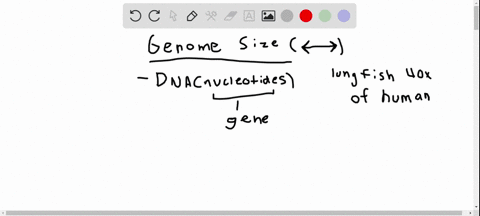the-actual-differences-in-genome-sizes-are-much-less-than-the-apparent-differences-because-a-multice