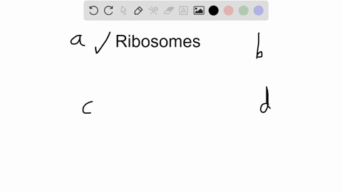 the-ribosome-a-is-composed-of-two-subunits-b-is-a-complex-of-rna-and-protein-c-has-trna-and-mrna-bin