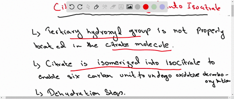 why-does-citrate-isomerize-to-isocitrate-before-any-oxidation-steps-take-place-in-the-citric-acid--2