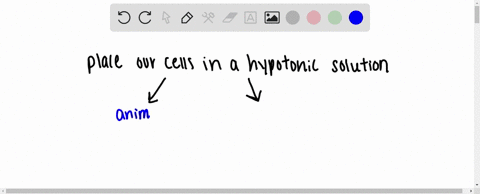 a-plant-cell-placed-in-distilled-water-will-_________-animal-cell-placed-in-distilled-water-will-___