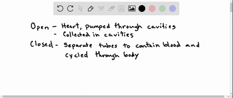 define-a-closed-circulatory-system-and-compare-the-differences-in-heart-structure-for-animals-with-c
