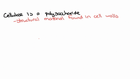 where-in-nature-do-we-find-cellulose-where-do-we-find-chitin-in-what-ways-are-these-two-polymers-sim