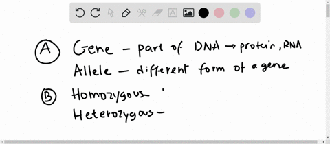 distinguish-between-the-following-genetic-terms-a-gene-and-allele-b-homozygous-and-heterozygous-c-ge