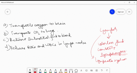 lymph-a-transports-oxygen-to-brain-b-transports-mathrmco_2-to-lungs-c-returns-interstitial-fluid-to-