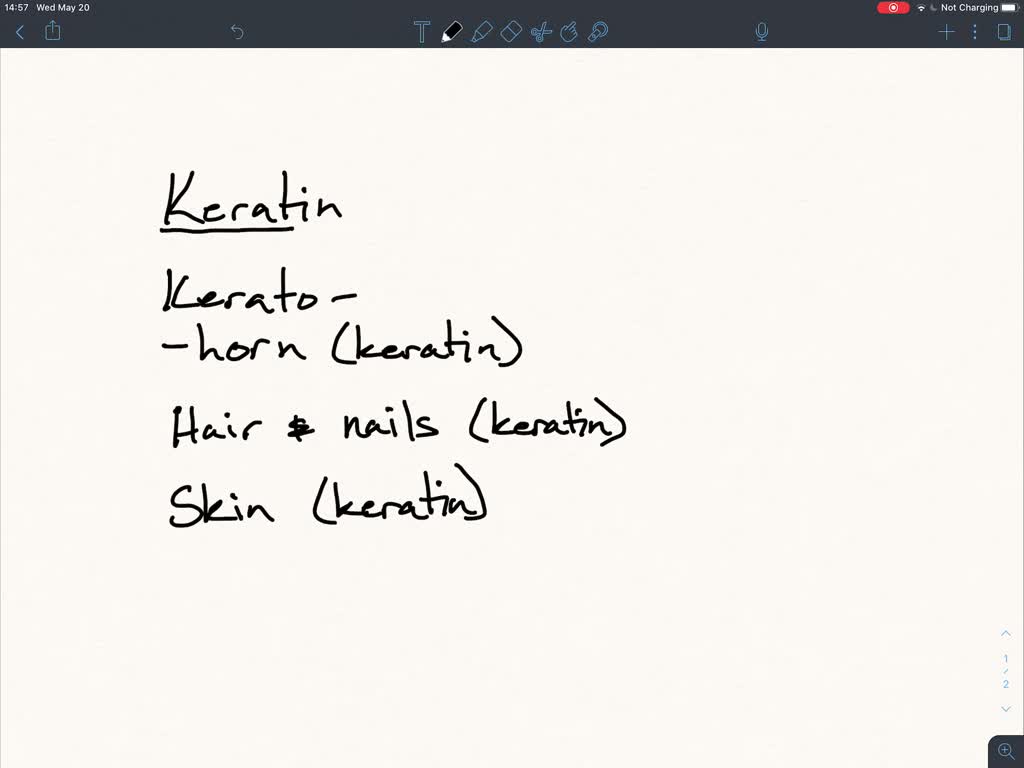 SOLVEDAnalyze how the protein keratin affects the appearance and