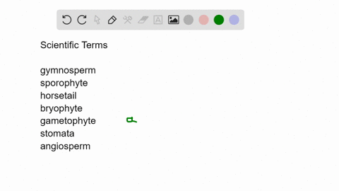 match-the-terms-appropriately-text-________gymnosperm-quad-quadquadquadquad-text-a-gamete-producing-