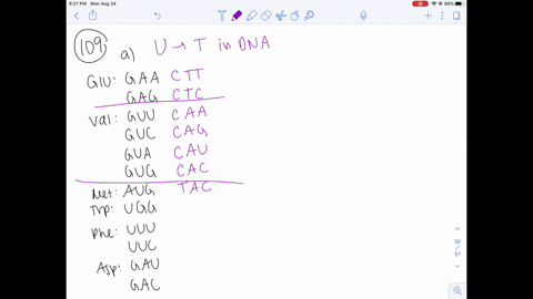 the-base-sequences-in-mrna-that-code-for-certain-amino-acids-are-glu-gaa-gag-val-quad-guu-guc-gua-gu