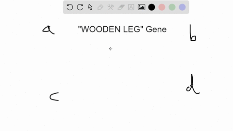 a-plant-lacking-the-wooden-leg-gene-will-likely-a-be-incapable-of-transporting-water-to-its-leaves-b