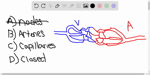 the-lymphatic-system-is-like-the-circulatory-system-in-that-they-both-a-have-nodes-that-filter-out-p