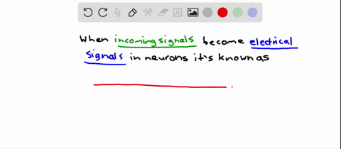 the-process-in-which-incoming-sensory-stimulation-is-converted-to-electrical-signals-in-neurons-is-c