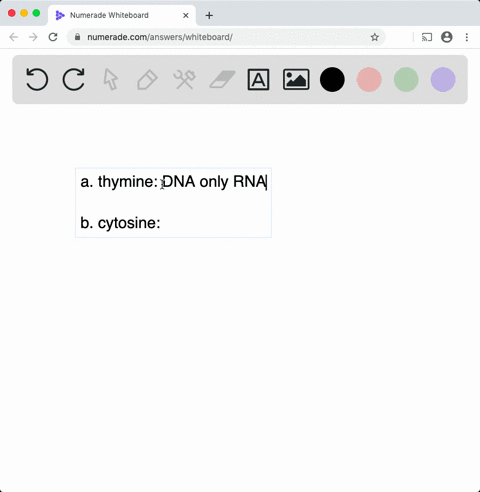 describe-the-bases-and-ribose-sugars-that-make-up-the-nucleic-acids-dna-and-rna-identify-each-of-t-3