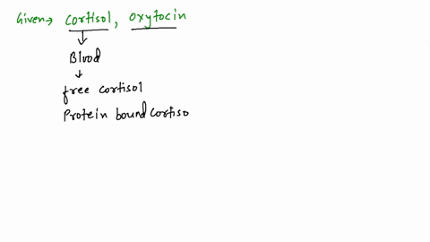 cortisol-levels-rise-under-stressful-conditions-oxytocin-can-induce-relaxation-and-romantic-feelings