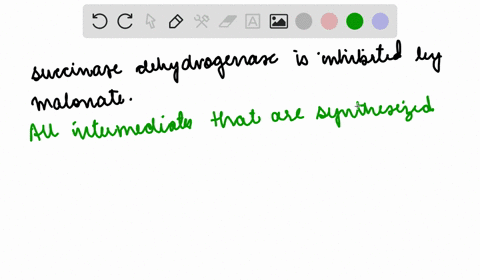what-citric-acid-cycle-intermediates-would-accumulate-in-the-presence-of-malonate