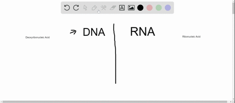 what-are-the-three-main-differences-between-dna-and-rna-chapter-12