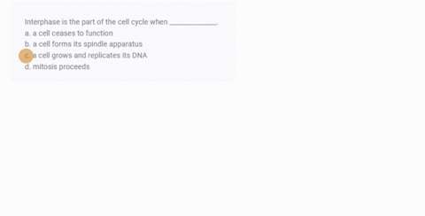 interphase-is-the-part-of-the-cell-cycle-when-______________-a-a-cell-ceases-to-function-b-a-cell-fo