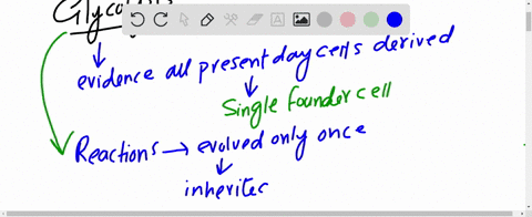 identical-pathways-that-make-up-the-complicated-sequence-of-reactions-of-glycolysis-shown-in-panel-3
