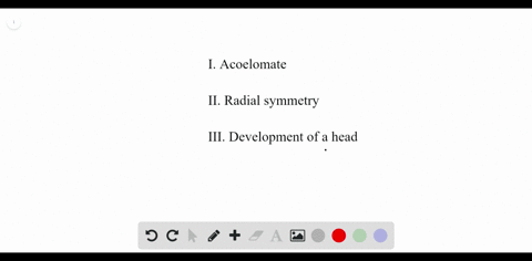 i-acoelomate-ii-radial-symmetry-iii-development-of-a-head-cnidarians-are-characterized-by-which-of-t