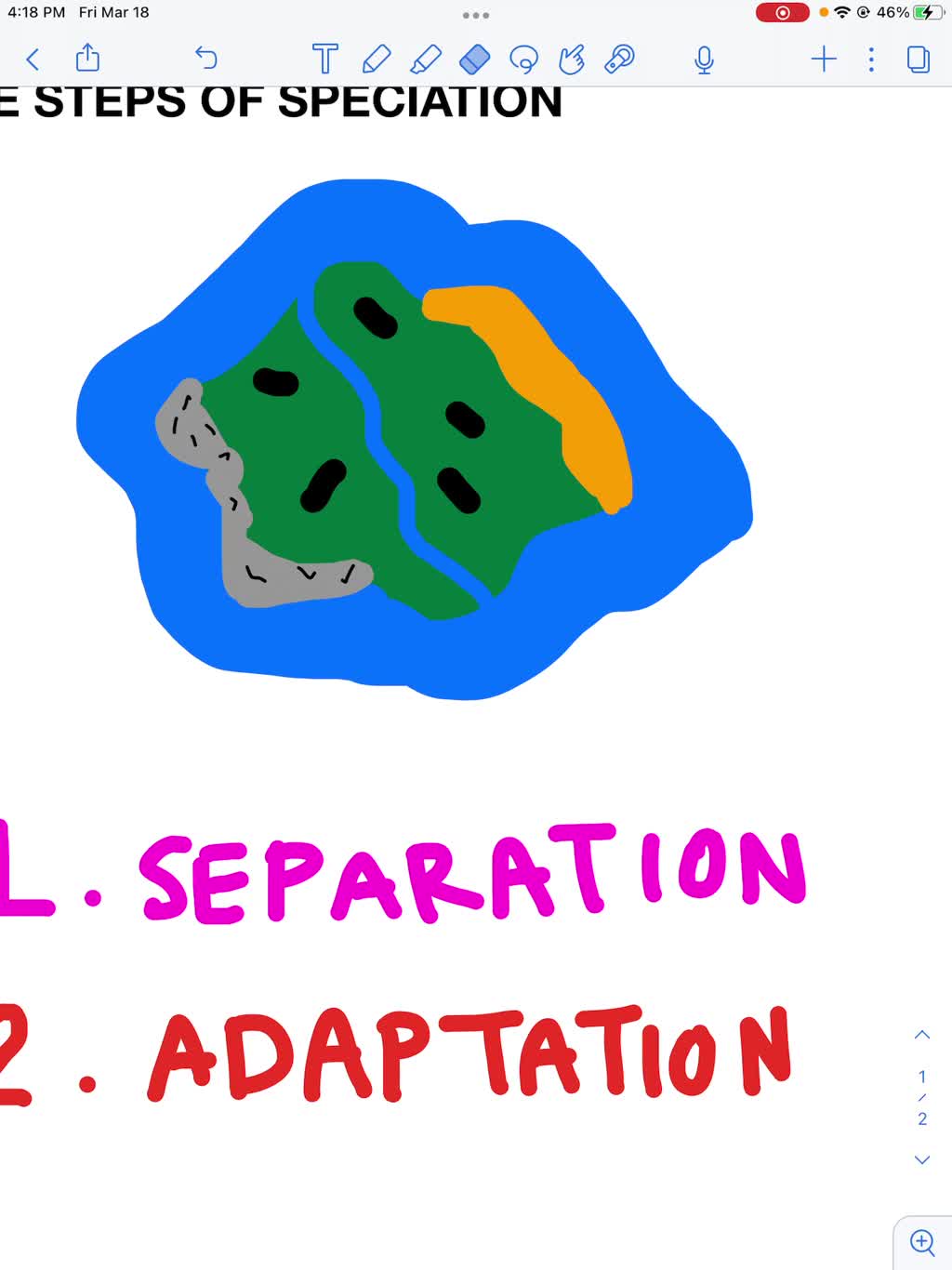 ⏩SOLVEDDescribe the three steps of speciation. Numerade