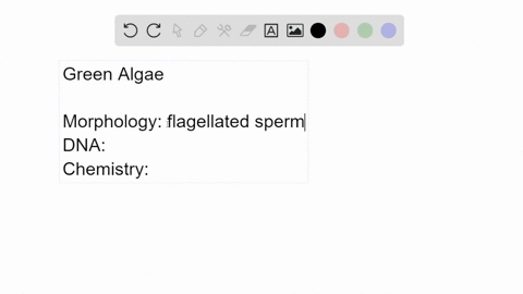 explain-at-least-one-line-of-evidence-that-green-algae-are-the-closest-relatives-of-plants