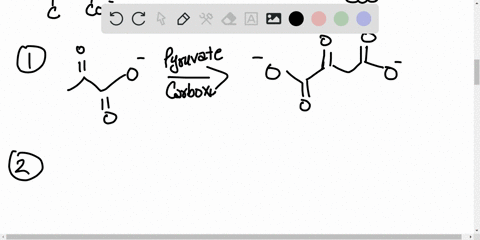 write-the-reactions-for-the-synthesis-of-citrate-from-two-equivalents-of-pyruvate-what-enzymes-are-r