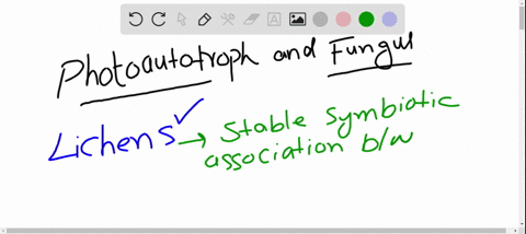 a-compound-organism-consisting-of-a-photoautotroph-and-a-fungus-is-called-a-an-arbuscular-endomycorr