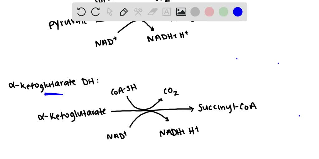 science-technology-and-society-venn-diagram-of-3-different-period-of