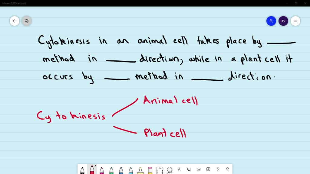 SOLVED:Cytokinesis in an animal cell takes place by method in direction; while in a plant cell it occurs by method in direction. (a) furrowing, centrifugal, cell plate, centripetal (b) furrowing, centripetal, cell SOLVED:Cytokinesis in an animal cell takes place by method in direction; while in a plant cell it occurs by method in direction. (a) furrowing, centrifugal, cell plate, centripetal (b) furrowing, centripetal, cell