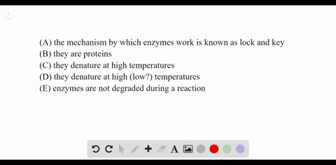 all-of-the-following-are-correct-about-enzymes-except-a-the-mechanism-by-which-enzymes-work-is-known