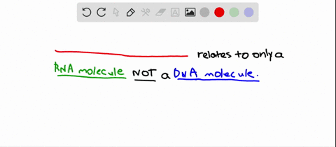 which-of-the-following-pertains-to-an-rna-nucleotide-and-not-to-a-dna-nucleotide-a-contains-the-suga