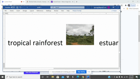 match-the-terms-with-the-most-suitable-description-text-tundra-quad-quadquadquadquad-text-a-equato-2