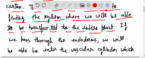 imagine-yourself-as-a-water-molecule-in-the-soil-solution-of-a-forest-in-a-short-essay-100-150-wor-2